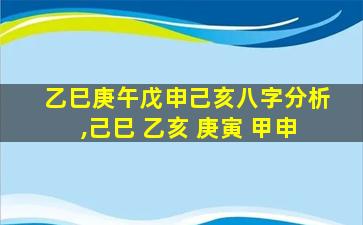 乙巳庚午戊申己亥八字分析,己巳 乙亥 庚寅 甲申